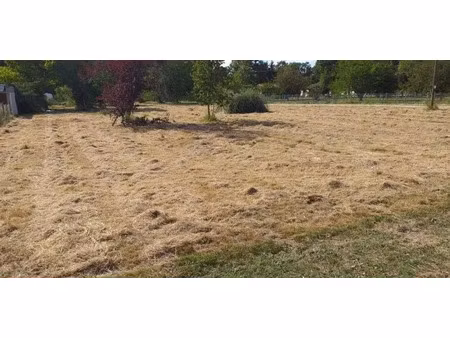 vente terrain 2770 m² à saint-vivien-de-médoc (33590)  80 000 €