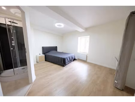 location appartement 1 pièce 28 m² à oullins-pierre-bénite (69310)