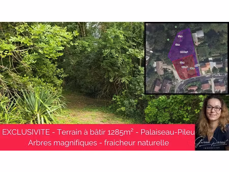 vente terrain 1285 m² à palaiseau (91120)  299 000 €