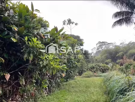 vente terrain à batir 16608 m² à roura (97311)  90 000 €
