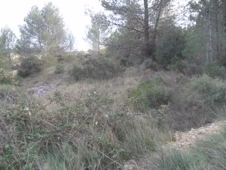 vente terrain 435 m² à lédenon (30210)  90 000 €