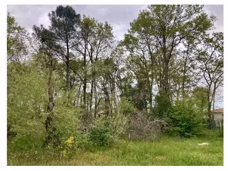 vente terrain 515 m² à castelnau-de-médoc (33480)  110 000 €