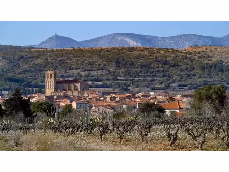 vente terrain 775 m² à baixas (66390)  165 000 €