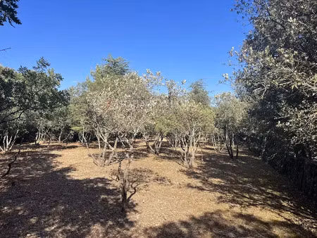 vente terrain à batir 720 m² à cabrières-d'avignon (84220)  177 000 €