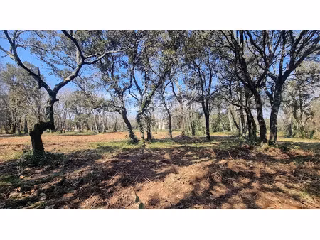vente terrain 940 m² à uzès (30700)  190 000 €