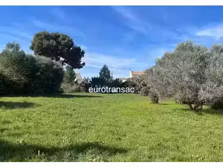 vente terrain 600 m² à loupian (34140)  230 000 €