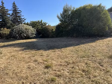 vente terrain 600 m² à loupian (34140)  245 000 €