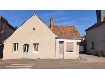 vente locaux professionnels 5 pièces 177 m² à coullons (45720)  110 000 €