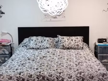 location meublée appartement 1 pièce 18 m² à ozoir-la-ferriere (77330)  650 €