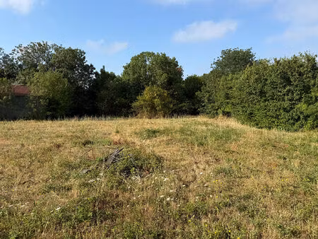 vente terrain  389.00m²  lagord