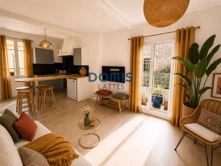 coeur de village  t3 bis rénové lumineux