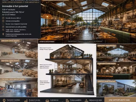 vente local commercial 7 pièces 530 m2 à auray