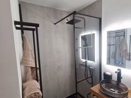 appartement meublé 35 m² – esplanade  conseil des xv