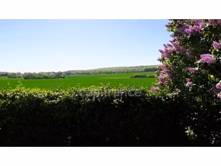 entre cloyes sur le loir et droué  longère à vendre 4 pièces ruan sur egvonne (41)