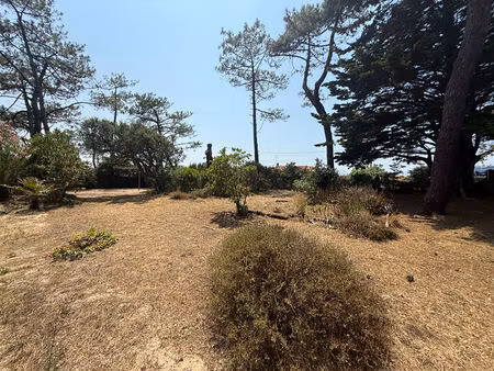 vente terrain  294.00m²  vieux