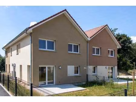 duplex/triplex