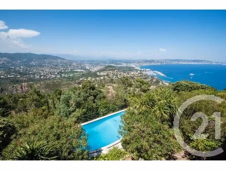 achat : maison (06590)