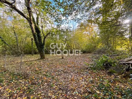 terrain courtomer 300 m2