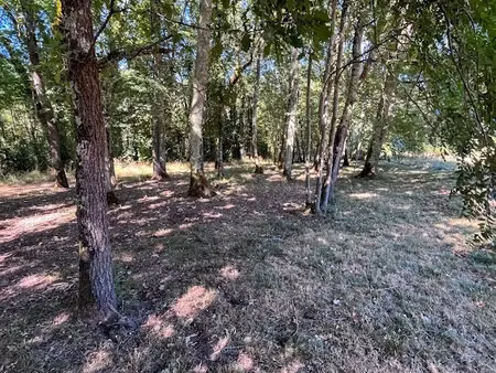 vente maison 3 pièces 37 m² à montpon-ménestérol (24700)  91 000 €