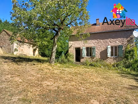 a vendre- proche lapalisse- maison avec dépendances sur terrain de plus de 2 ha