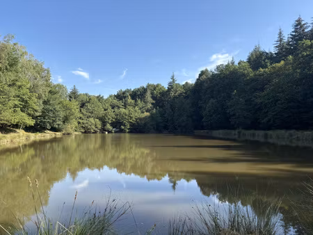 achat terrain 14 580m² bussiere galant 87230