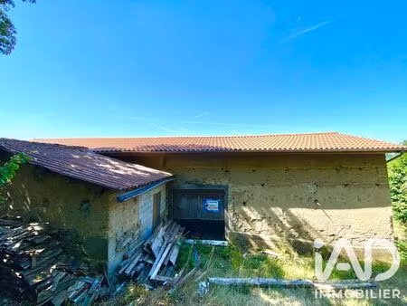 maison à saint-martin-des-olmes (63600)