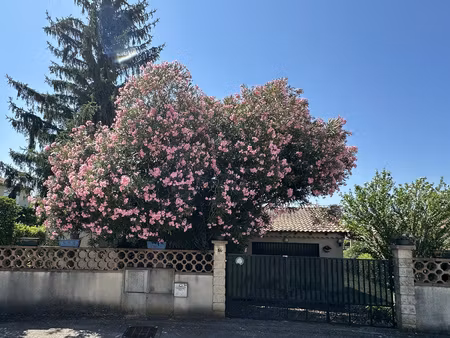 maison louée super affaire