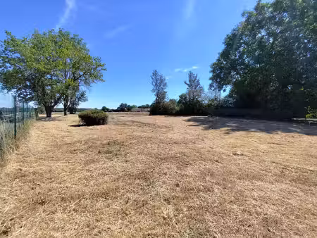 terrain constructible