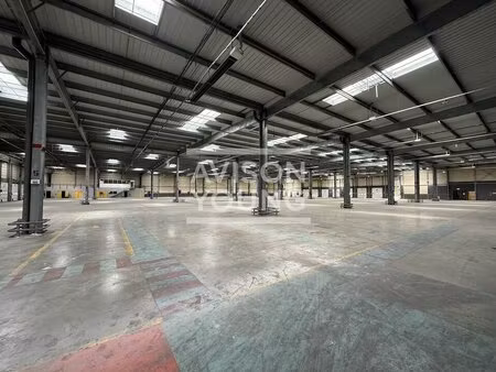 location local d’activités mitry mory 77290 9642m²