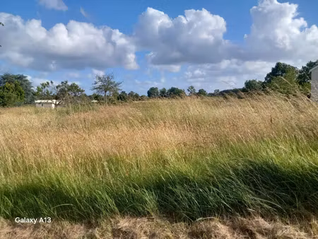 vente terrain 1378 m² expiremont (17130)
