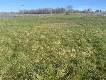 vente terrain 1673 m² jussas (17130)