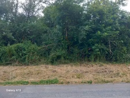 vente terrain 2220 m² montendre (17130)