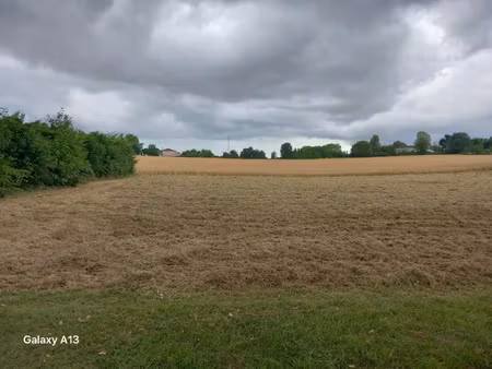 vente terrain 1105 m² ozillac (17500)