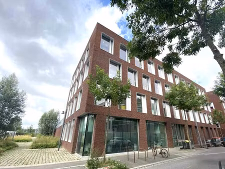 location local professionnel 165m²