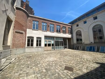 location local professionnel 433m²