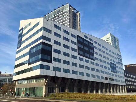 location local professionnel 509m²