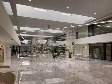 location local professionnel 1 381m²