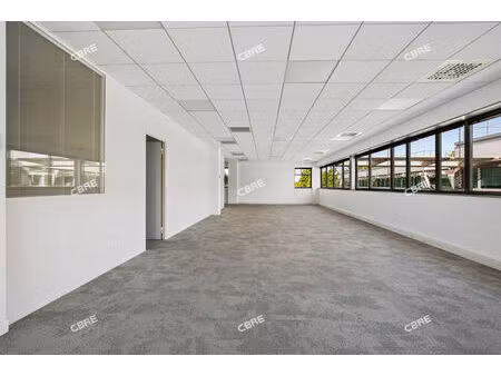 location local professionnel 250m²