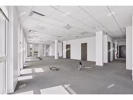 location local professionnel 252m²