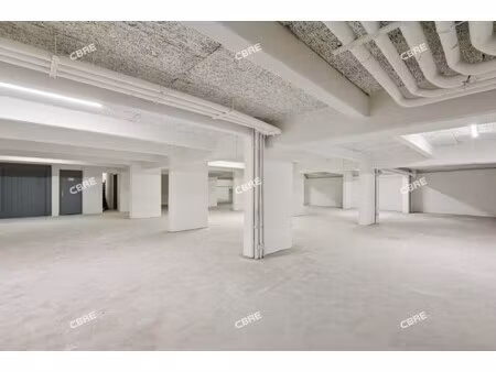 location local professionnel 910m²