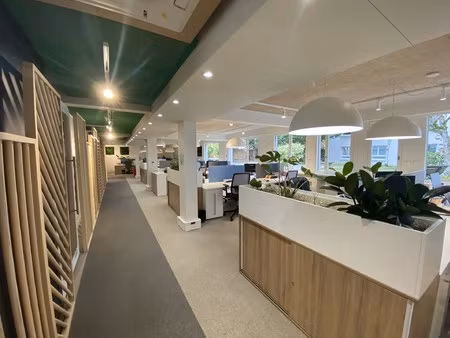 location local professionnel 459m²