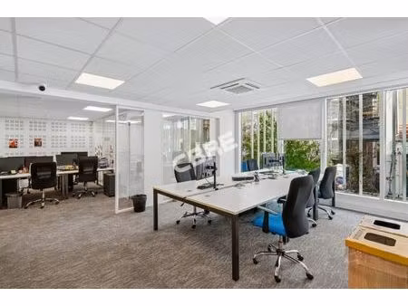 location local professionnel 538m²