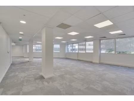 location local professionnel 710m²