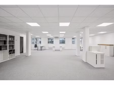 location local professionnel 210m²