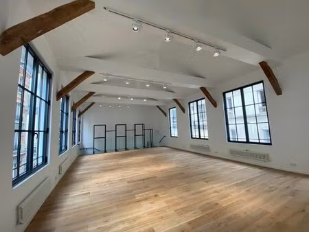 location local professionnel 210m²
