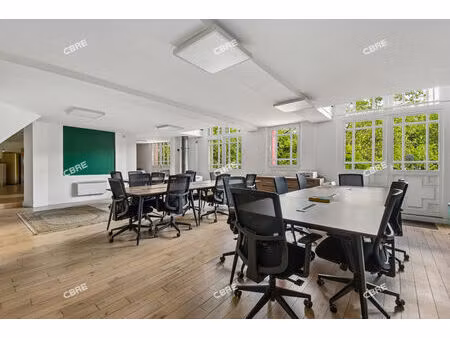 location local professionnel 234m²