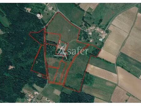 propriété de 13ha  proximité de l'estuaire  avec un corps de