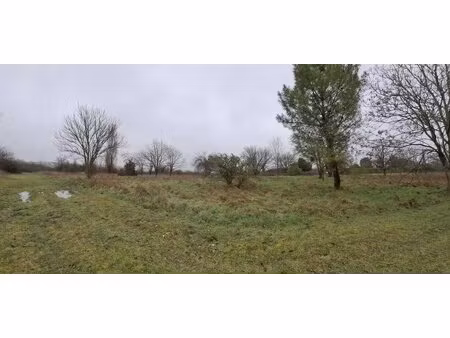 terrain en zone naturelle