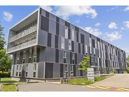 location local professionnel 242m²