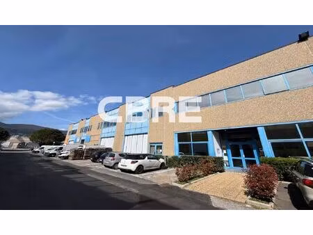 location local professionnel 377m²